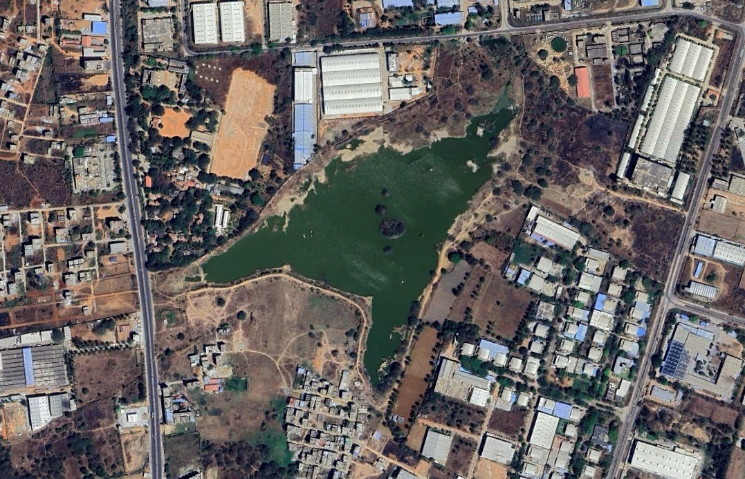 Satellite image of Bashethalli lake taken on February 2024